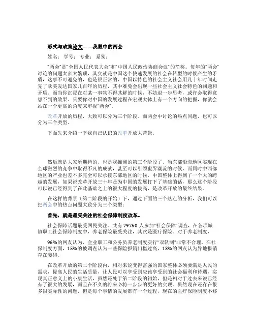 关于异形式与政策论文