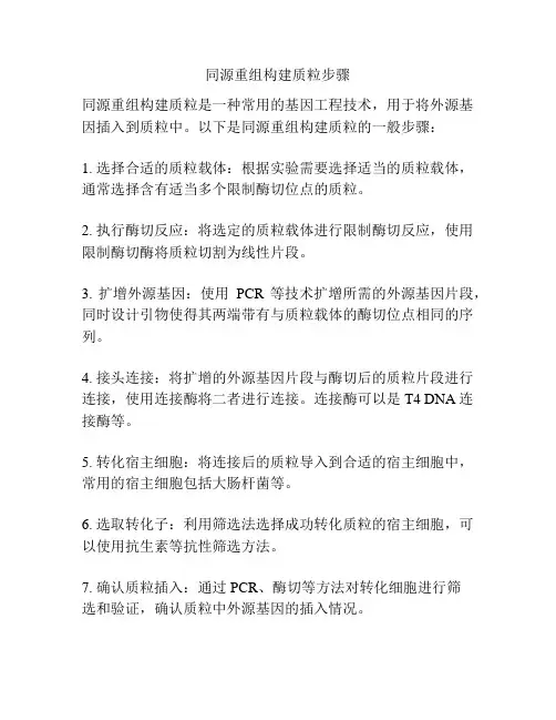 同源重组构建质粒步骤