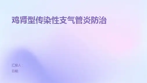 鸡肾型传染性支气管炎防治