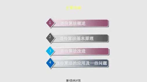 遗传算法改进及算法应用PPT课件