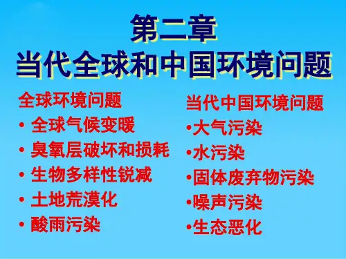 当代全球环境问题(ppt 27页)