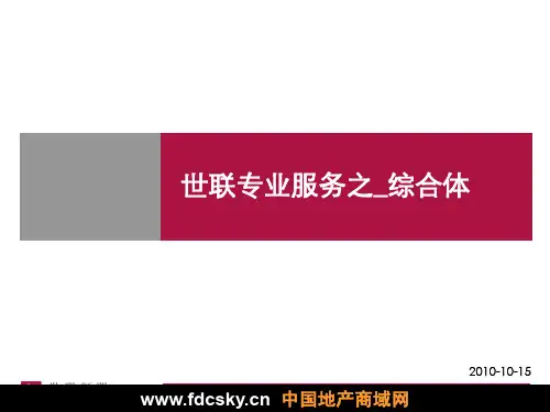 世联专业服务之综合体