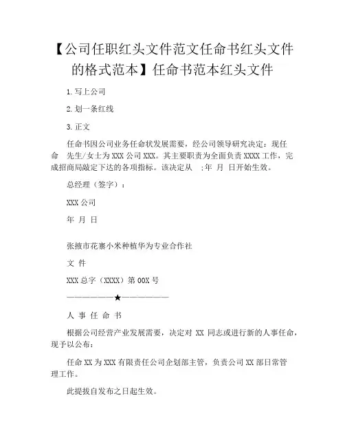 【公司任职红头文件范文任命书红头文件的格式范本】任命书范本红头文件