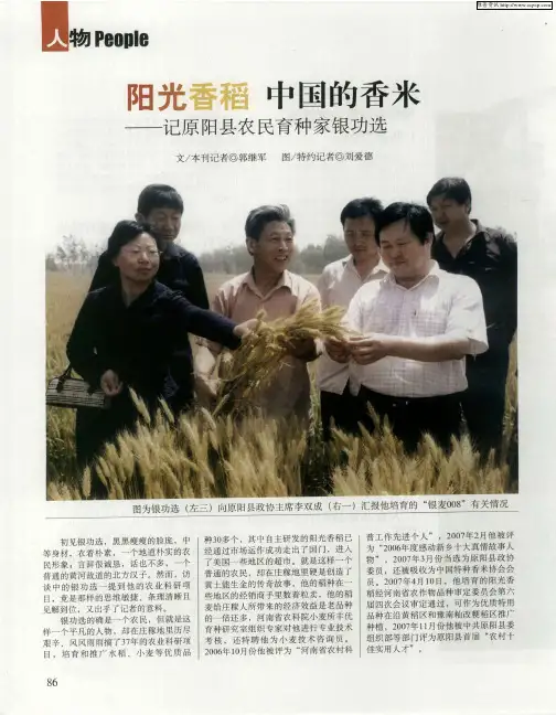 阳光香稻 中国的香米——记原阳县农民育种家银功选