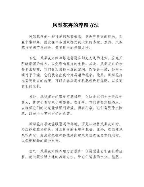 凤梨花卉的养殖方法