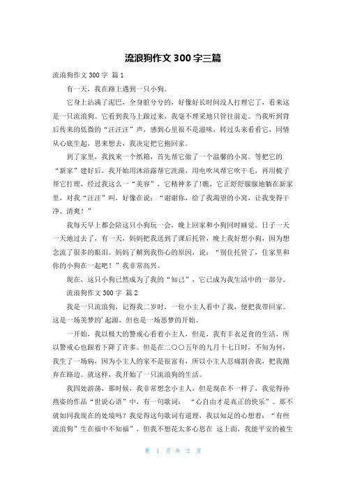 流浪狗作文300字三篇