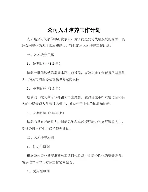 公司人才培养工作计划