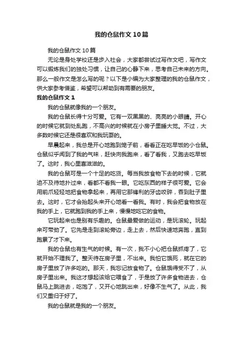 我的仓鼠作文10篇