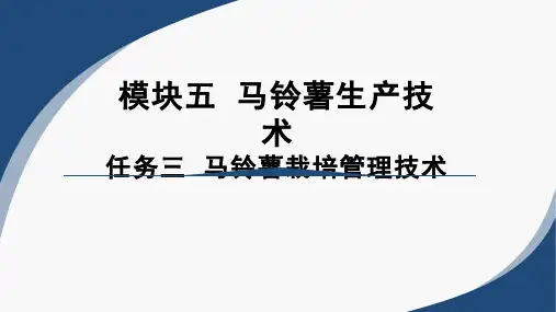 《作物生产技术》课程教学课件-5.3.1马铃薯的田间管理技术  课件