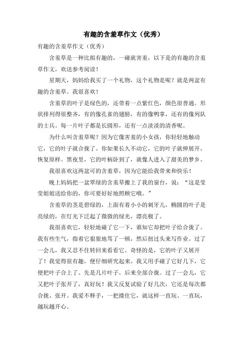 有趣的含羞草作文(优秀)
