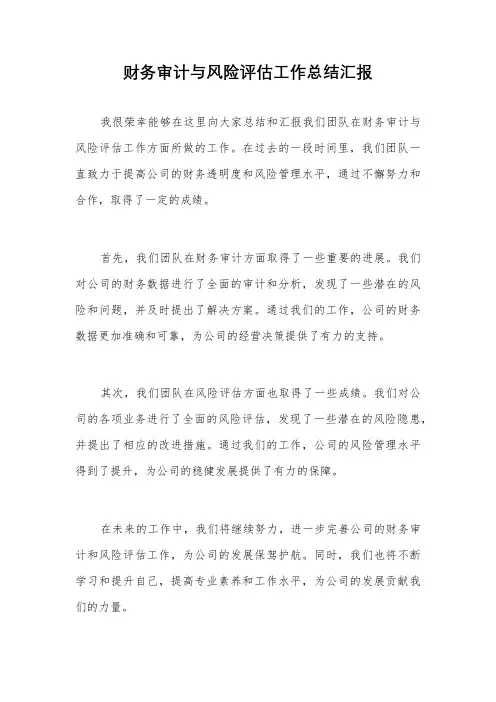 财务审计与风险评估工作总结汇报