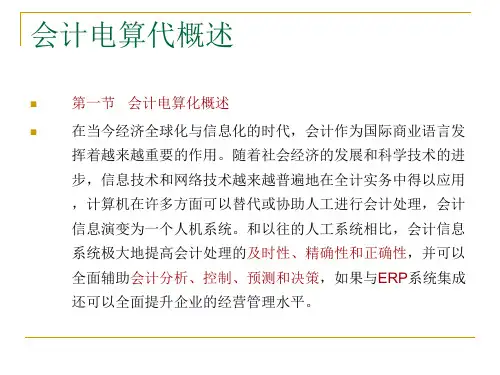 会计从业资格考试初级会计电算化