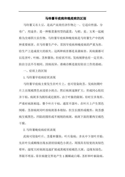 马铃薯早疫病和晚疫病的区别