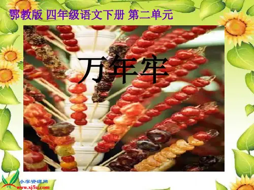鄂教版语文四年级下册《万年牢》课件
