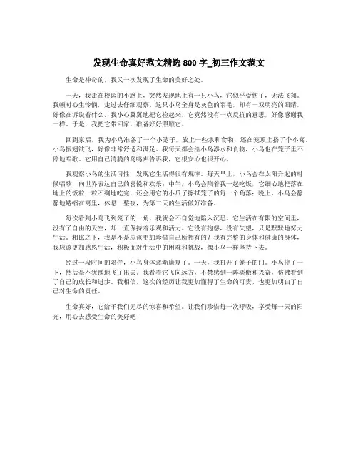 发现生命真好范文精选800字_初三作文范文