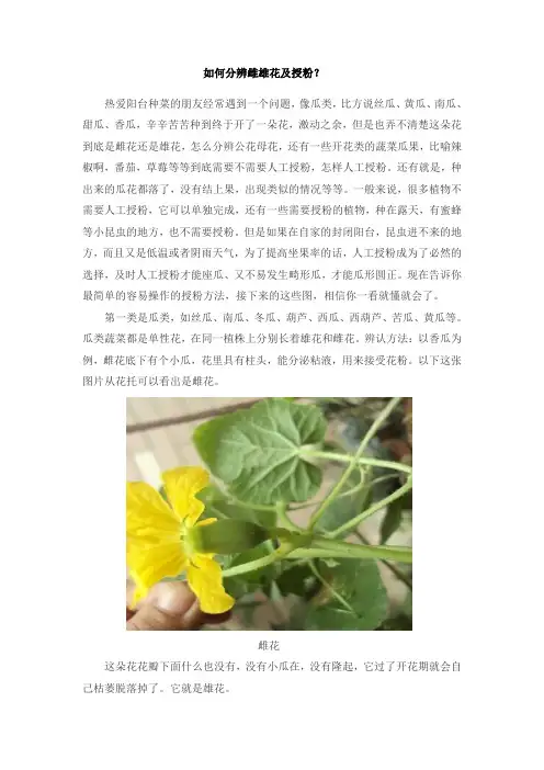 如何分辨雌雄花及授粉？