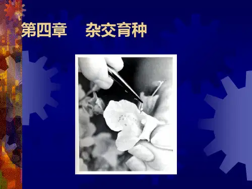 园林植物遗传育种学 第四章   杂交育种
