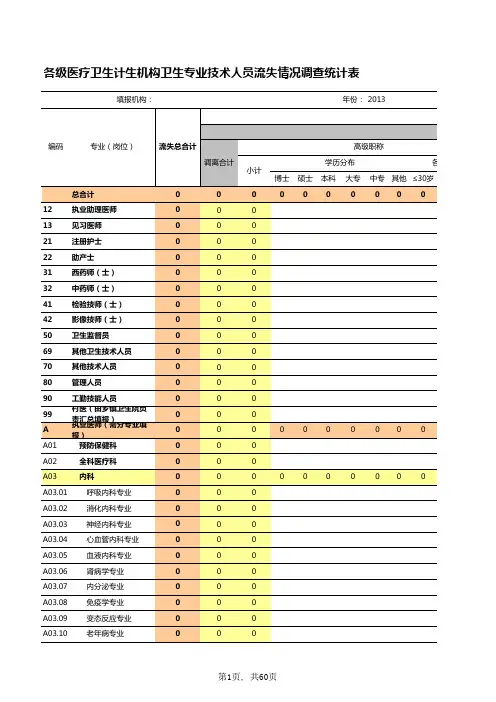 流失表2013