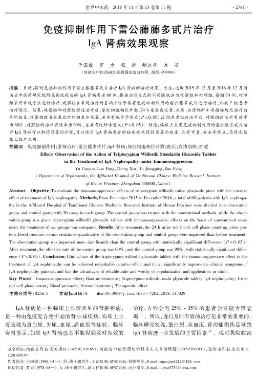 免疫抑制作用下雷公藤藤多甙片治疗IgA肾病效果观察