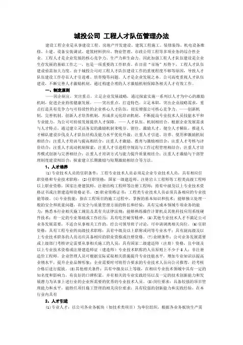 城投公司 工程人才队伍管理办法