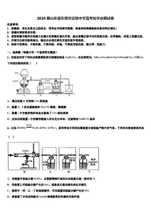 2024届山东省东营市实验中学高考化学必刷试卷含解析