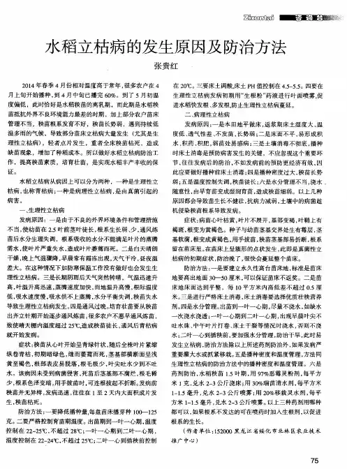 水稻立枯病的发生原因及防治方法