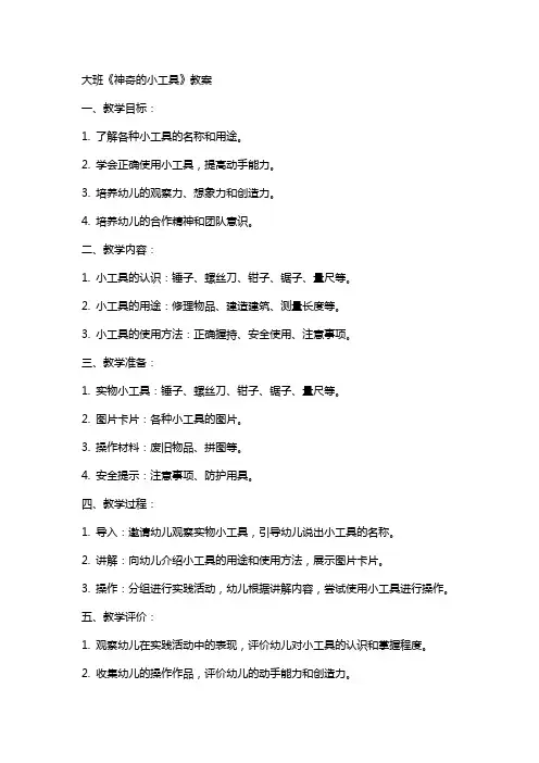 大班《神奇的小工具》教案