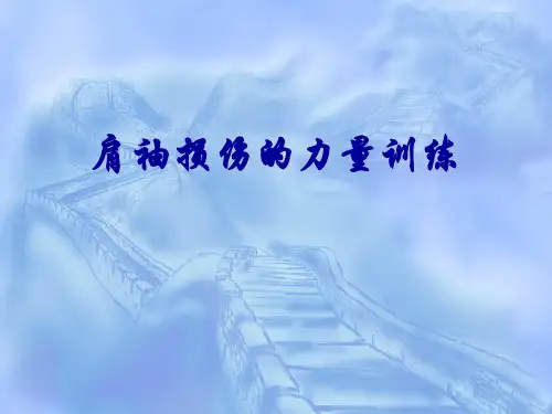 肩袖损伤的力量训练