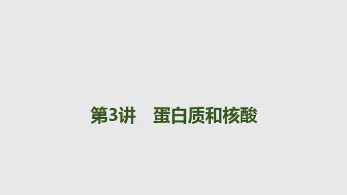 新高考一轮复习苏教版蛋白质和核酸课件江苏专用