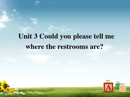 人教英语九年级全册Unit3Section A 3a-4c(共16张PPT).ppt