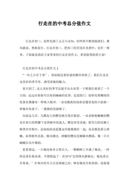 (中考作文)行走在的中考满分作文