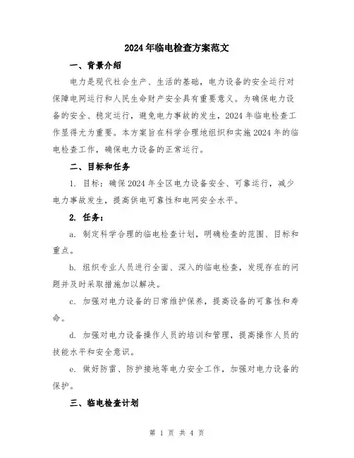 2024年临电检查方案范文