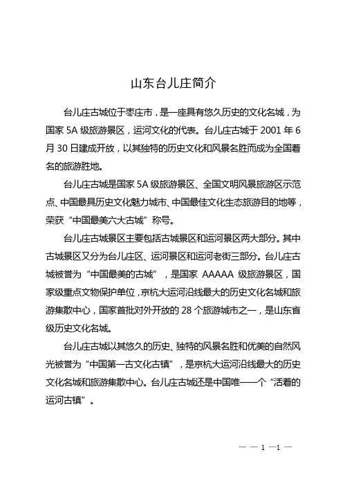 山东台儿庄简介