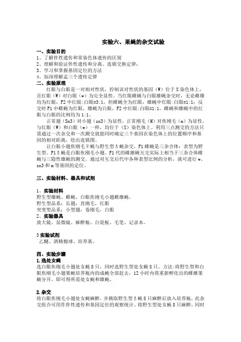 果蝇的杂交试验