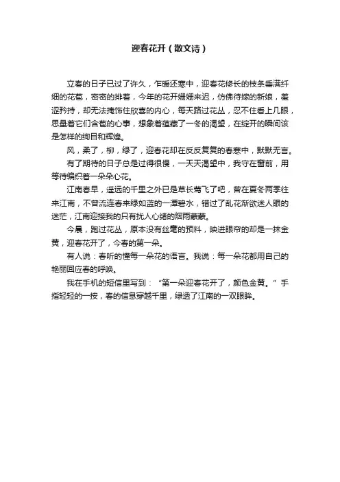 迎春花开（散文诗）