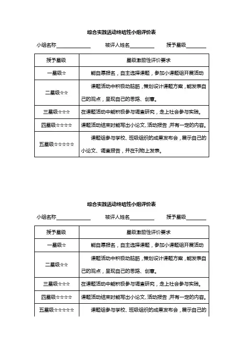 shijian终结性小组评价表(8份)