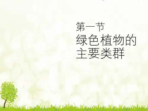 《绿色植物的主要类群》-完整版PPT课件
