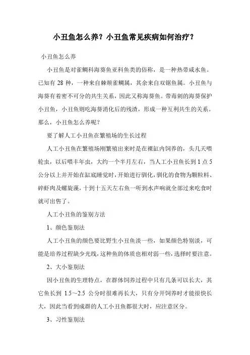 小丑鱼怎么养？小丑鱼常见疾病如何治疗？