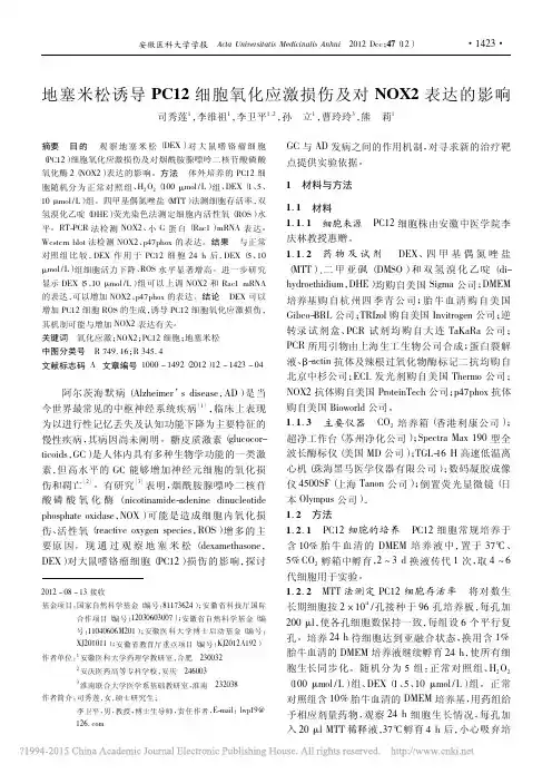 地塞米松诱导PC12细胞氧化应激损伤及对NOX2表达的影响_司秀莲