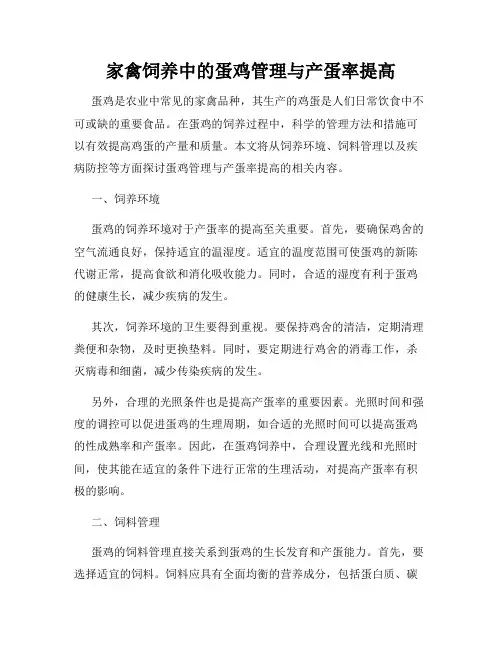 家禽饲养中的蛋鸡管理与产蛋率提高