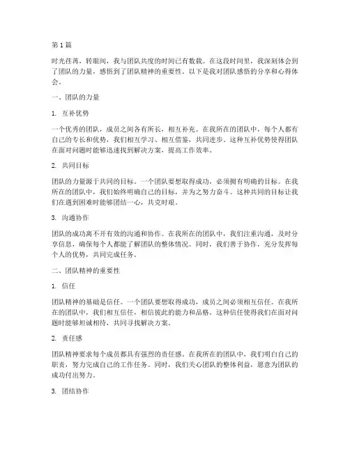 团队感悟分享心得体会(3篇)
