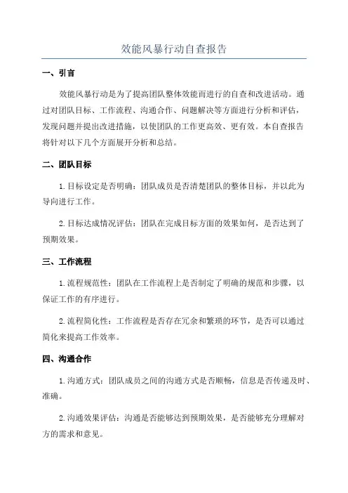 效能风暴行动自查报告