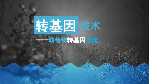 转基因技术——动植物转基因方法