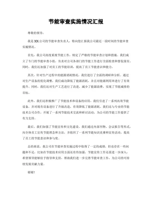 节能审查实施情况汇报