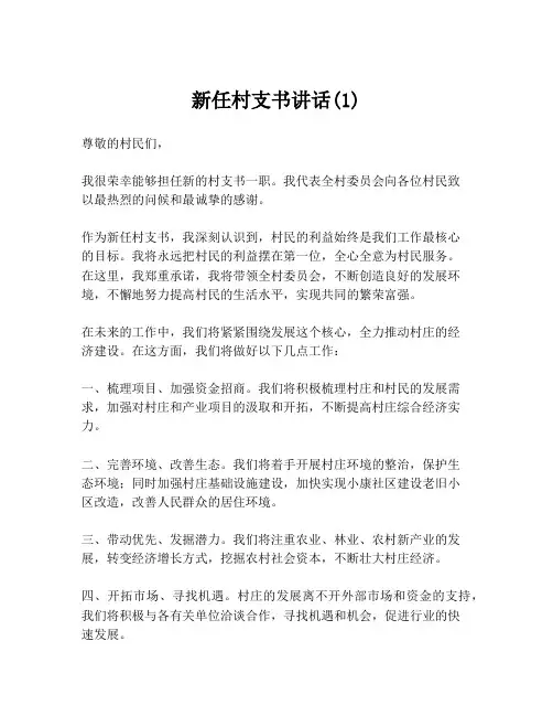 新任村支书讲话(1)