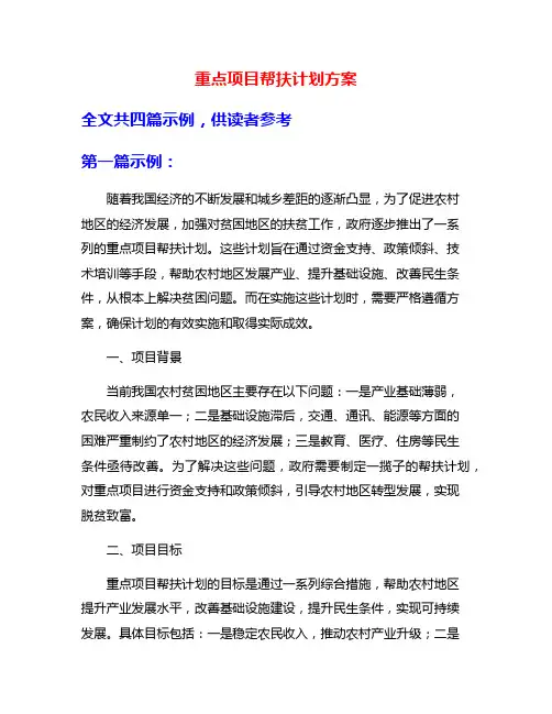 重点项目帮扶计划方案