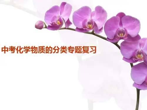 中考化学物质的分类专题复习