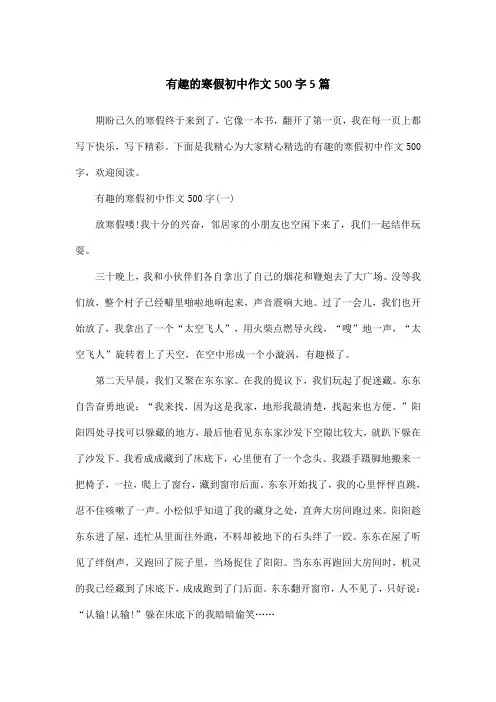 有趣的寒假初中作文500字5篇