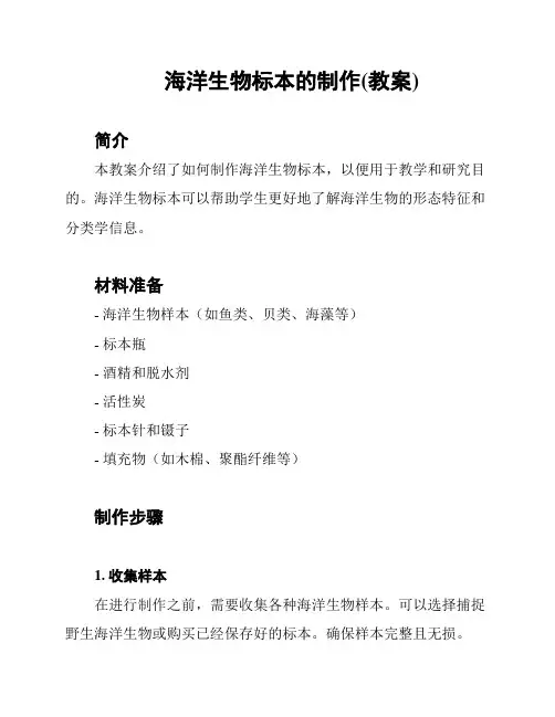 海洋生物标本的制作(教案)