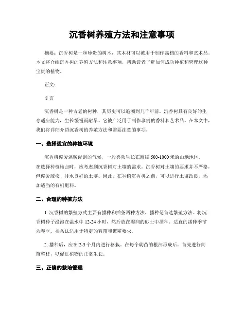 沉香树养殖方法和注意事项